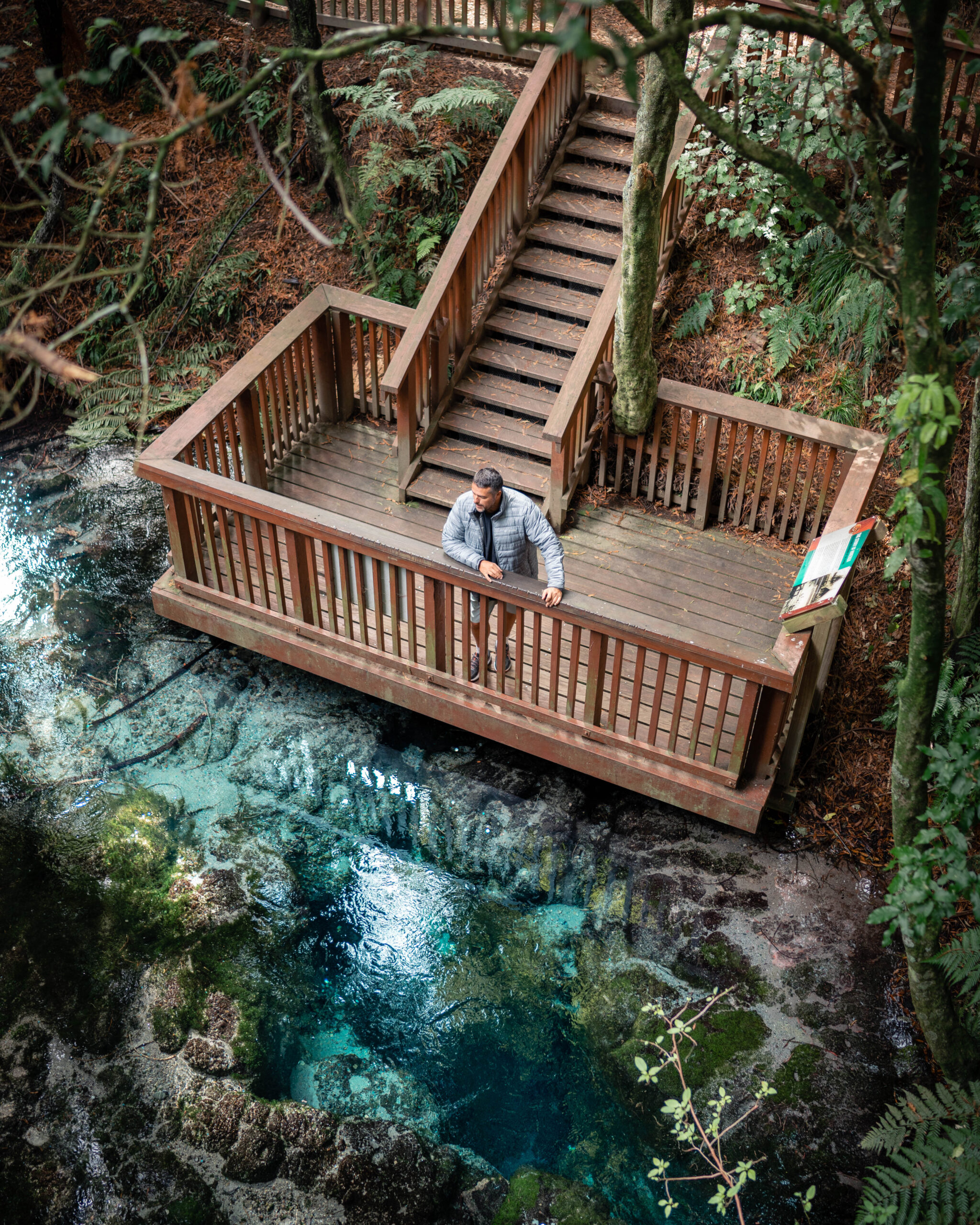 Rorotua-Hamurana Springs (1)