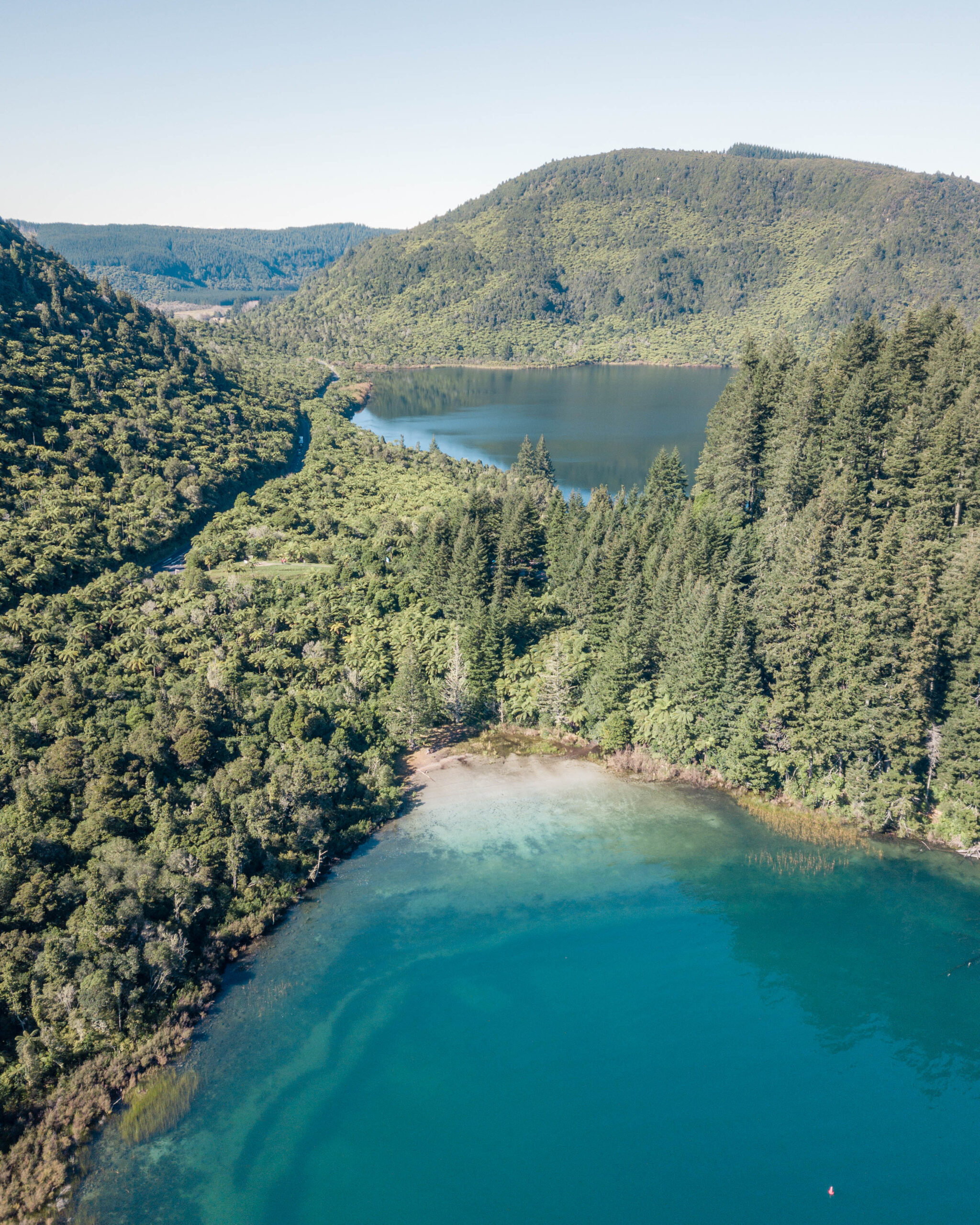 Rotorua-BlueLake (1)