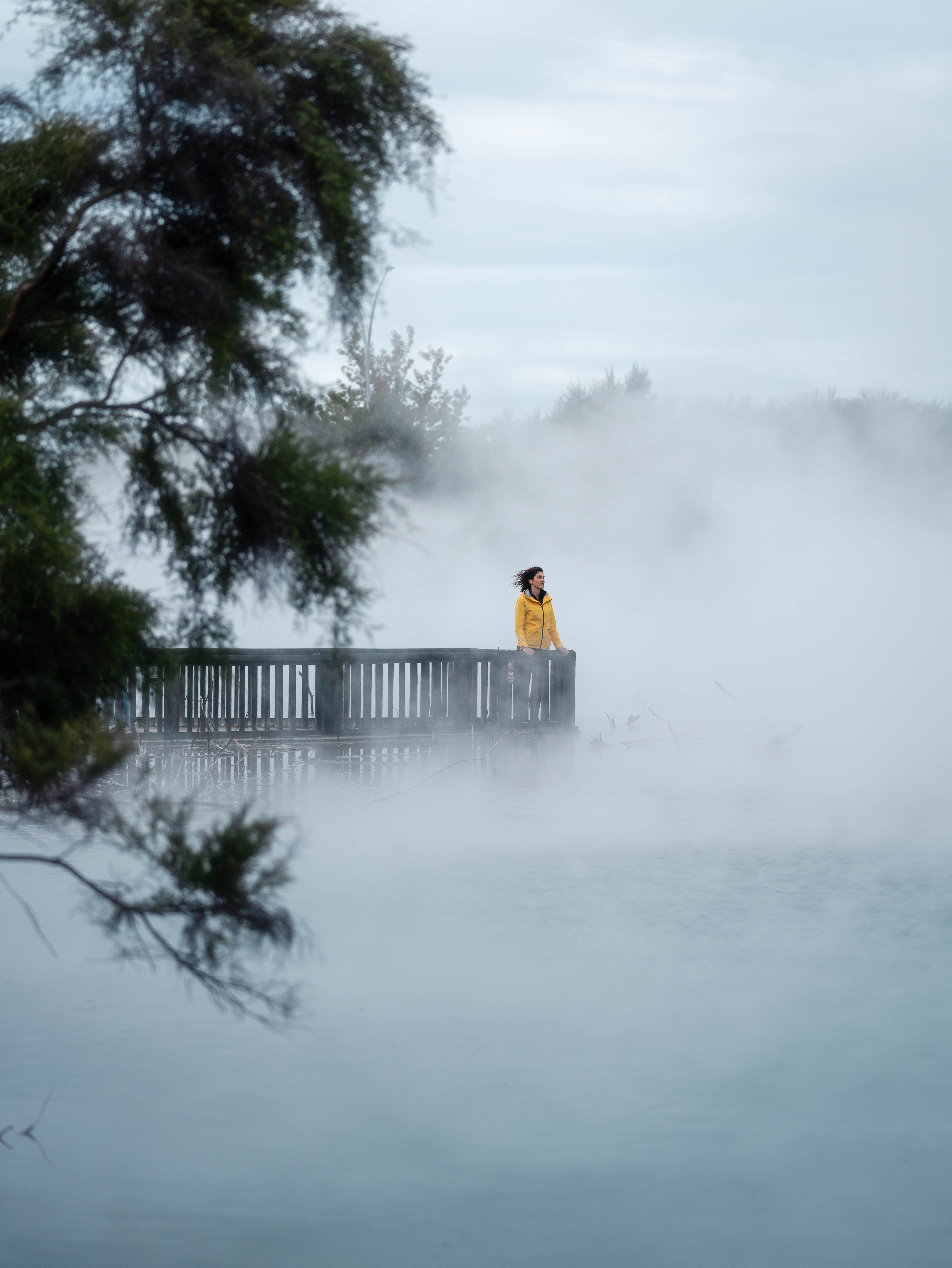 Rotorua-Kuirau Park 1